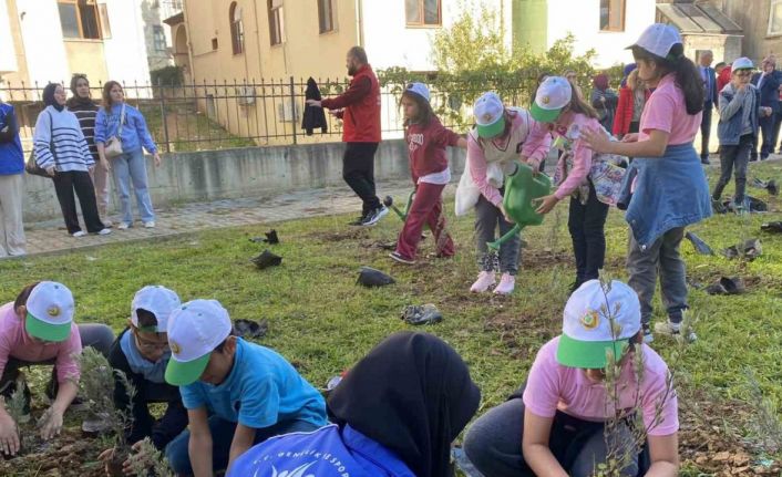 Fidanları toprakla buluşturdular