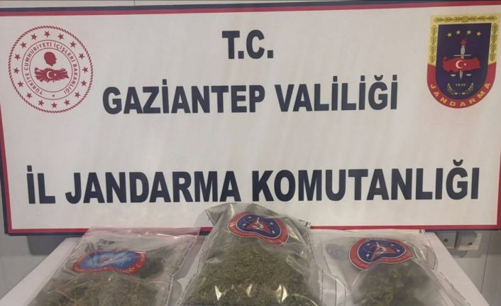 Gaziantep’te 1 kilo esrar ele geçirildi