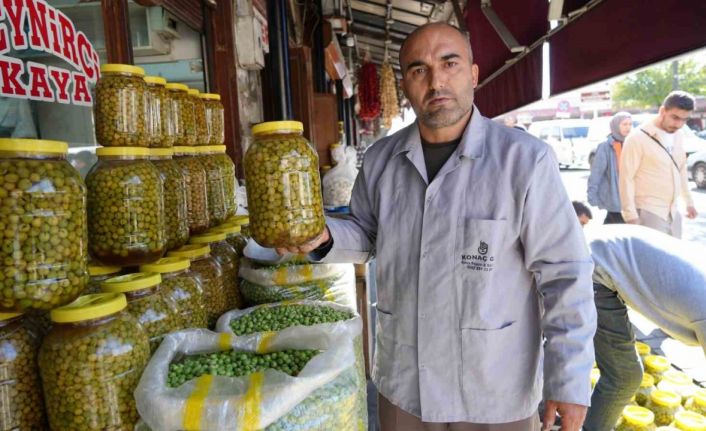 Gaziantep’te yeşil zeytinler tezgaha indi