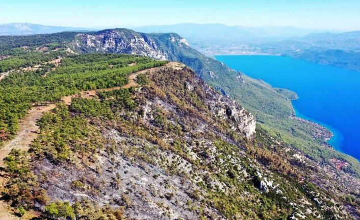 Gökova’da alevlerin önünü kesmek için 6,5 kilometre yangın şeridi açıldı