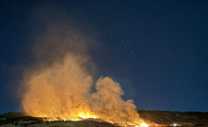 Gölbaşı’nda ormanlık alanda çıkan yangın korkuttu