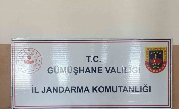 Gümüşhane’de jandarma ekipleri ruhsatsız silahlara geçit vermiyor