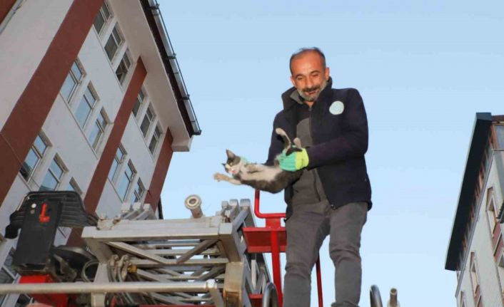 Hakkari’de 4 katlı binada mahsur kalan yavru kedi kurtarıldı