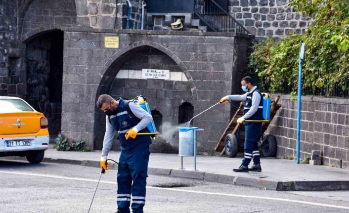 Haşerelere karşı ilaçlama çalışmaları sürüyor