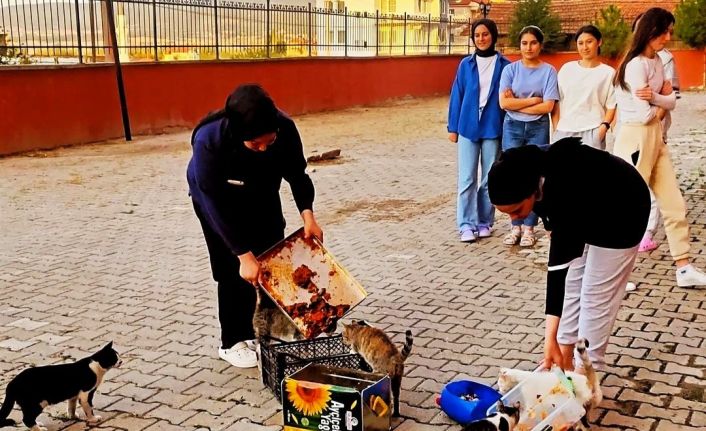 Hisarcık’ta yurt öğrencileri artan yemeklerle kedileri besledi