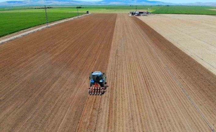 Hububat ekiminde ’tasarruf edelim’ derken zarara uğramamak için uzmanlardan uyarı