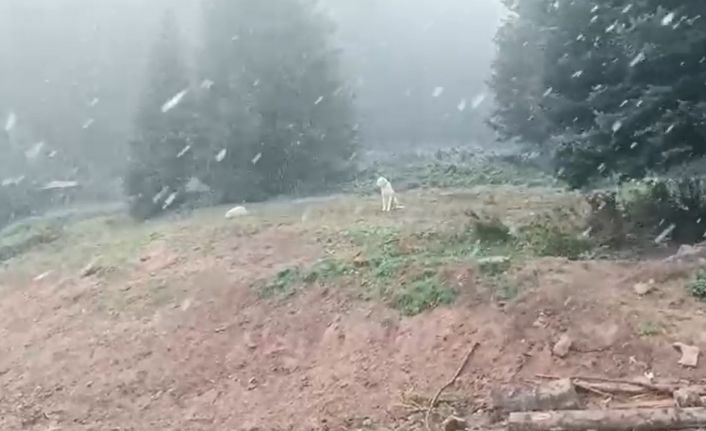 Ilgaz Dağı’nda kar yağışı başladı