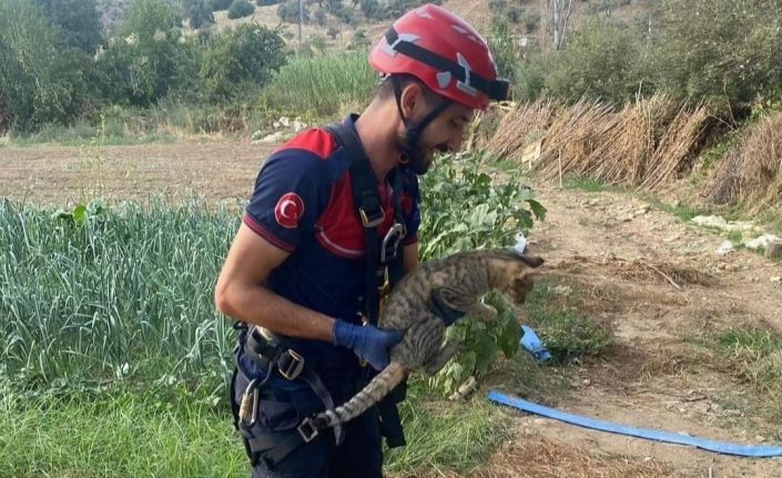 İzmir’de kuyuya düşen kediyi itfaiye kurtardı