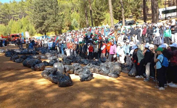 Kahramanmaraş’ta ormanlar temizleniyor