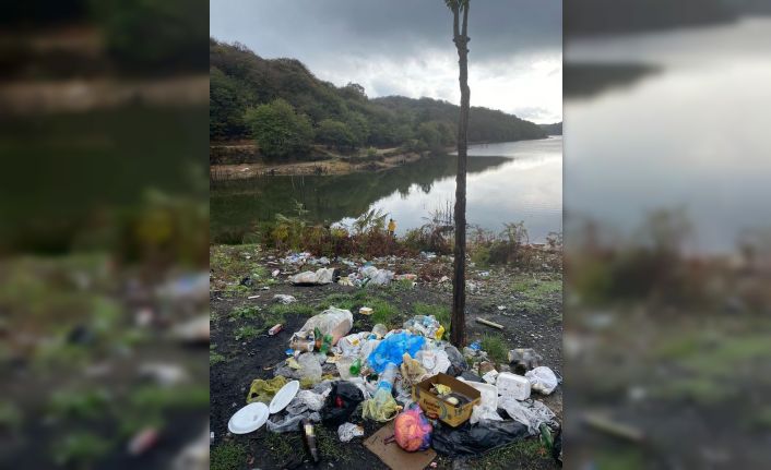 Kapıdağ Yarımadası’nda çevre felaketi