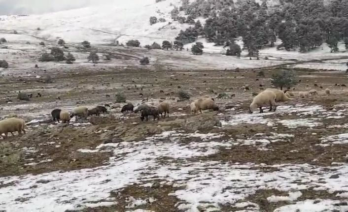 Kar yağışına yaylada yakalandı, koyunlarına türkü söyleyerek duygusal anlar yaşattı