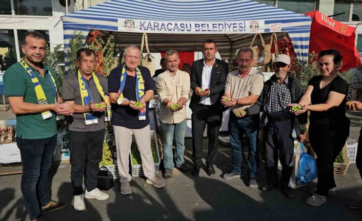 Karacasu Zeytini festivalle tanıtıldı