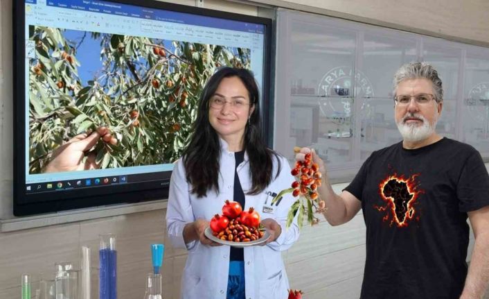 Karya-Farma, Eylül ayında nar ve iğdeyi laboratuvara aldı