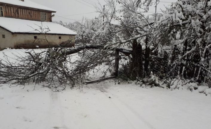 Kastamonu’da ekiplerin karla mücadelesi erken başladı