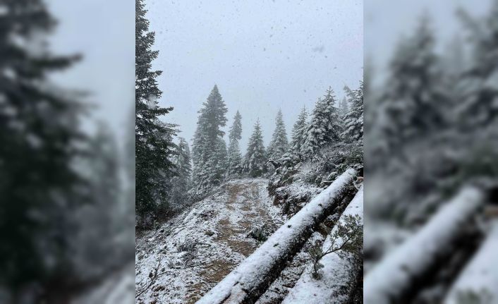 Kastamonu’nun yüksek kesimlerinde kar yağışı etkili olmaya başladı