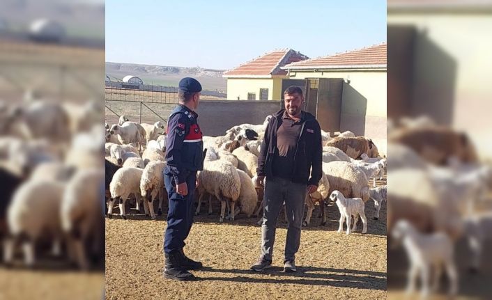 Kaybolan küçükbaş hayvanları jandarma dronla buldu