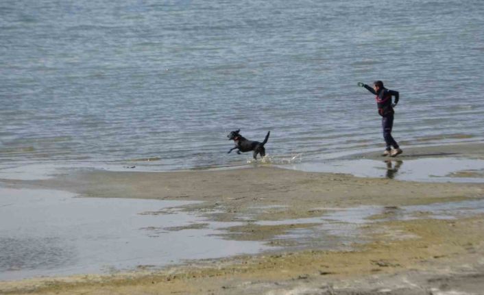 Kayıp öğrenci Rojin için AFAD’dan köpekli arama