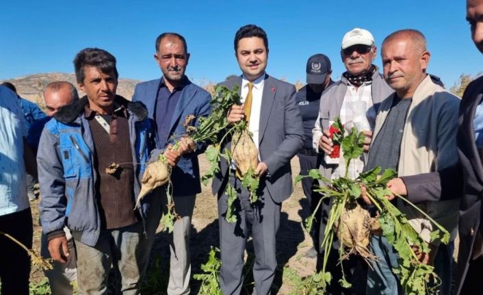 Kaymakam Seyhan, şeker pancarı hasadına katıldı