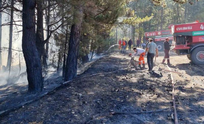 Kütahya’da anız yangını ormana sıçradı