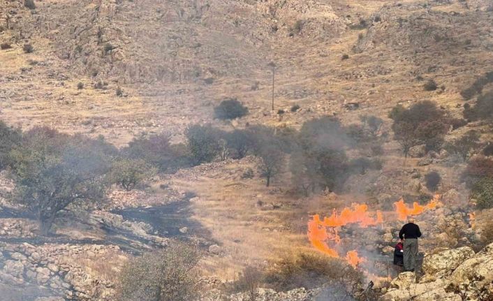 Mardin’de çıkan ot yangını söndürüldü