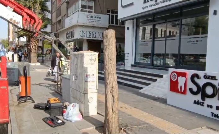 Mardin’de kaldırımdaki ağaçlar izinsiz kesildi