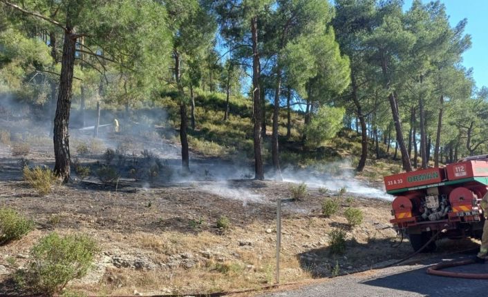 Mersin’de vadide çıkan orman yangını, büyümeden söndürüldü