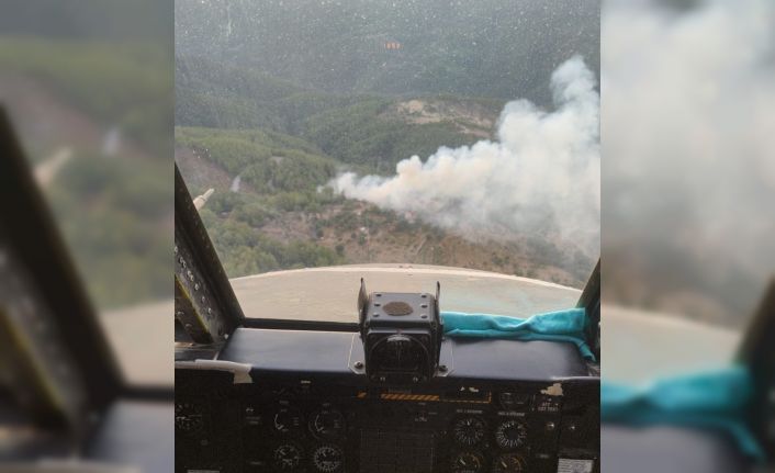 Milas’ta orman yangını büyümeden söndürüldü