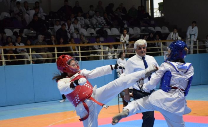 Minikler ve Yıldızlar Taekwondo Cumhuriyet Kupası Müsabakaları tamamlandı