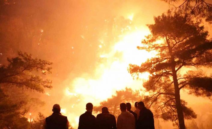 Muğla’daki orman yangınında alevler geceyi aydınlattı