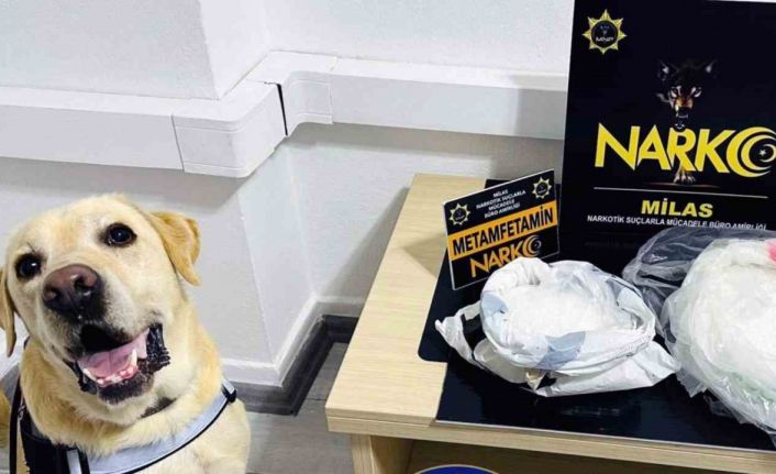 Narkotik köpeği ‘Çiko’ affetmiyor