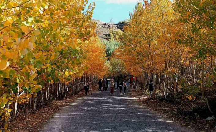 Nemrut Kalderası’nda sonbahar güzelliği