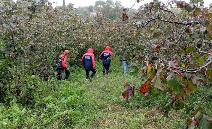 Ordu’da ağaçtan düşen yaşlı adam hayatını kaybetti