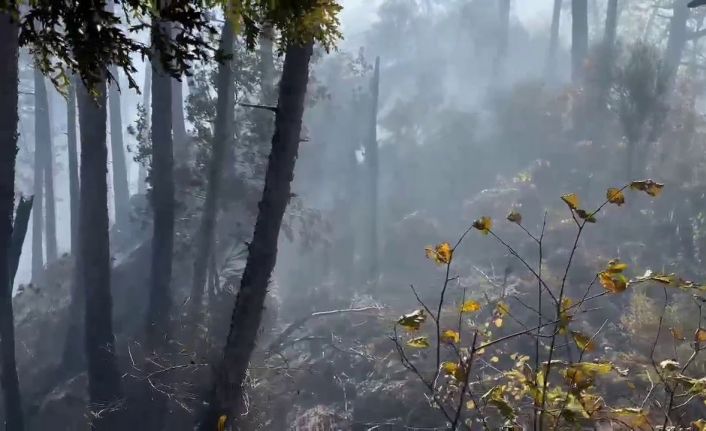 Orman yangınına müdahale çevre illerden destekle devam ediyor