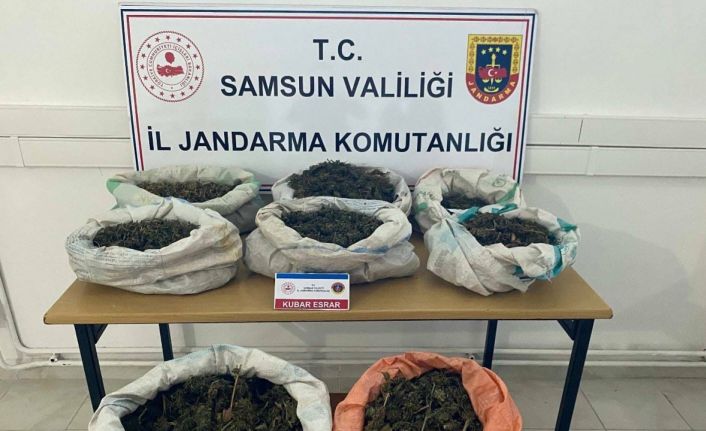 Ormanlık alandaki çadırda 8,5 kilo esrar ele geçirildi