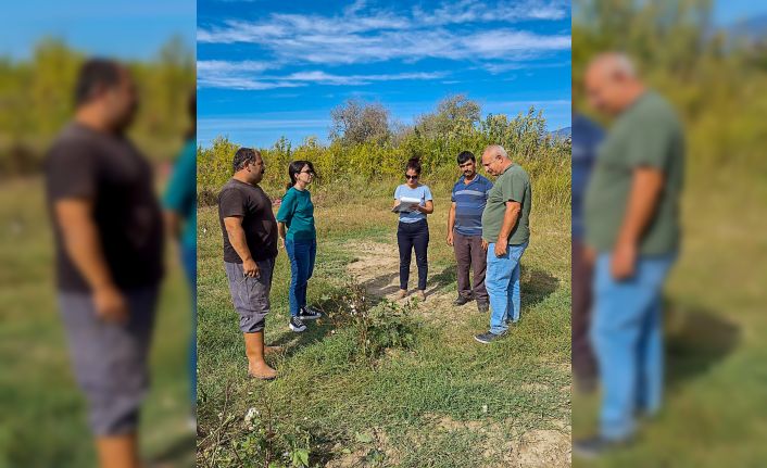 Ortaca’da pamuk ve pikan cevizi üretiminde kontroller başarıyla tamamlandı