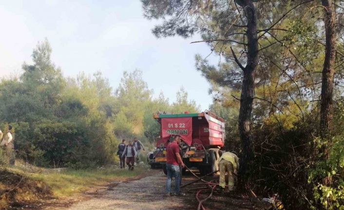 Osmaniye’de orman yangını başladı