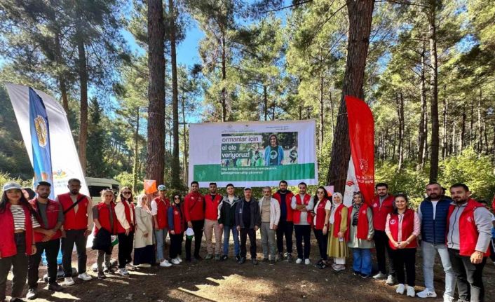 Osmaniye’de ormanlık alanlar temizlendi