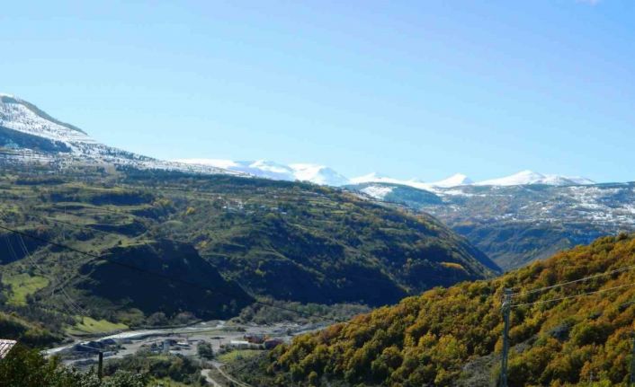 Posof’ta yeşil ile beyazın buluşması görsel şölen oluşturuyor