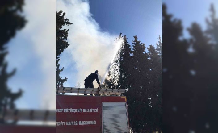 Reyhanlı’da çamlık alanda yangın çıktı