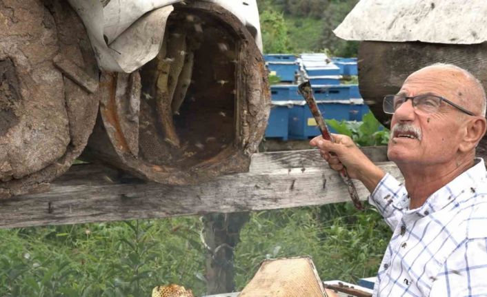 Rize’de karakovan balının hasadı tamamlandı, fiyatı belirlendi