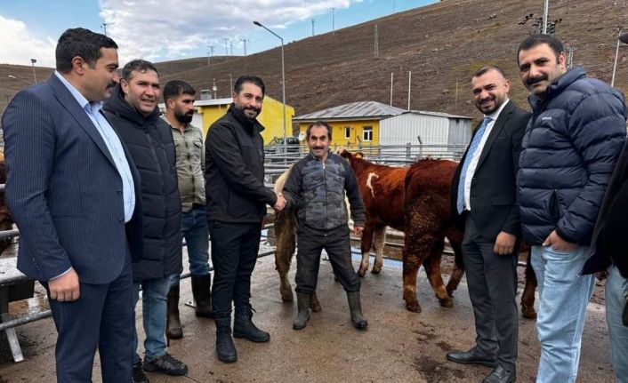 Sarıkamış Belediye Başkanı Serdar Kılıç, Hayvan Pazarında incelemelerde bulundu