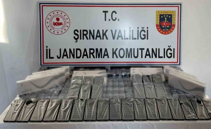 Şırnak’ta jandarma ekipleri 6 milyon 200 bin TL’lik kaçakçılığı önlendi