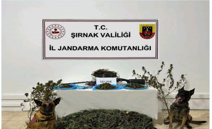 Şırnak’ta Jandarma ekiplerinden kaçakçılık operasyonu: 2 tutuklama