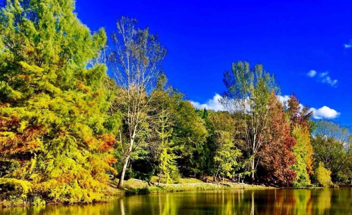 Sonbaharın büyüleyici renkleri Erzincan’ı sardı