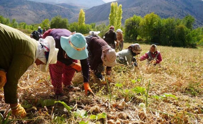 Tarımsal üretimin gerçek kahramanları kadınlardır