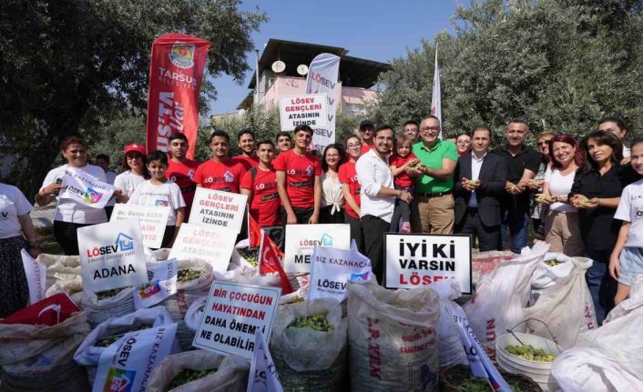 Tarsus’ta lösemili çocuklar için zeytin hasadı yapıldı