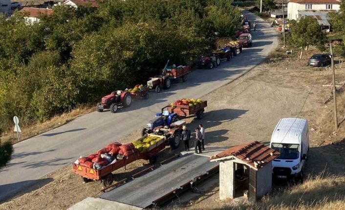 Taze ceviz toptan 25 liraya satılıyor