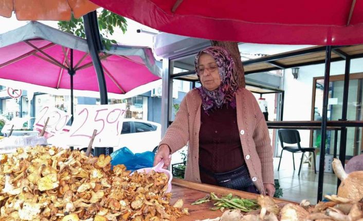 Tirmit çeşitlerine talep arttı