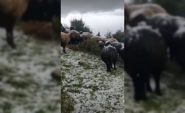 Tokat’ta dolu yağışı yaylayı beyaza bürüdü