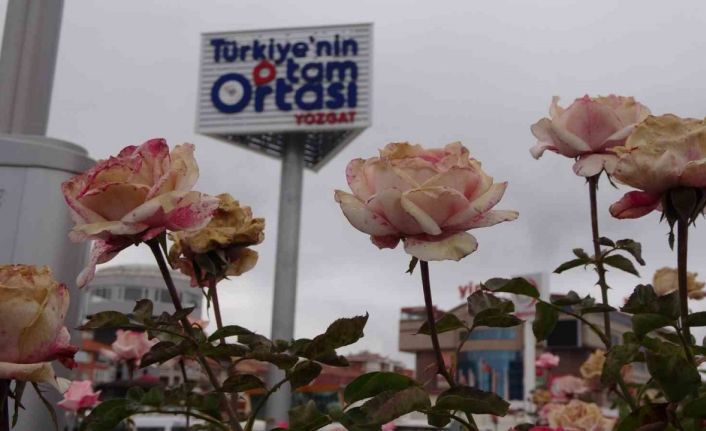 “Türkiye’nin tam ortası Yozgat” totemleri dikkat çekiyor